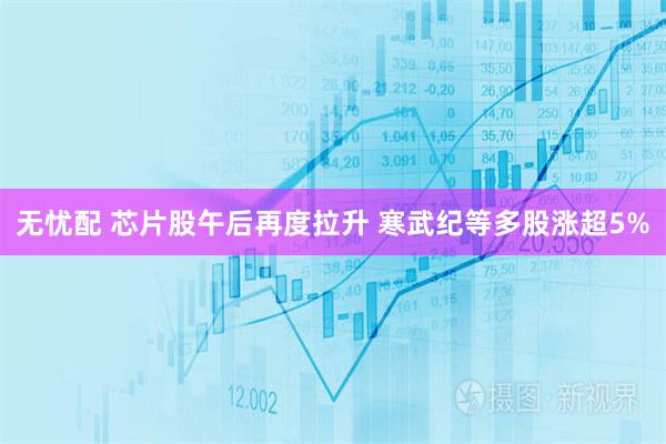 无忧配 芯片股午后再度拉升 寒武纪等多股涨超5%