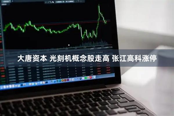 大唐资本 光刻机概念股走高 张江高科涨停