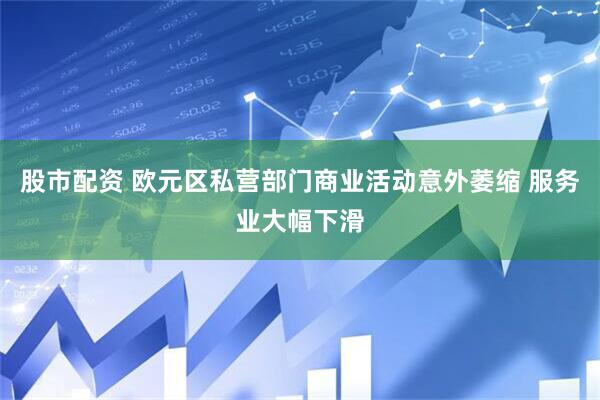 股市配资 欧元区私营部门商业活动意外萎缩 服务业大幅下滑